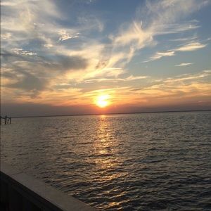 Meet your Posher, Paige